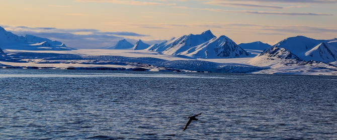 Backcountry на границе человеческого обитания. Часть 2 (фоторепортаж). (Бэккантри/Фрирайд, Щпицберген, ski-tour, freeride, север, арктика, мечта, Северный Ледовитый океан, Longyearbyen)