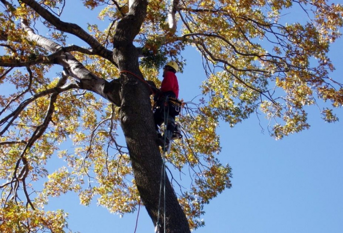 О пользе жумаринга с рюкзаком и в перчатках... (Горный туризм)