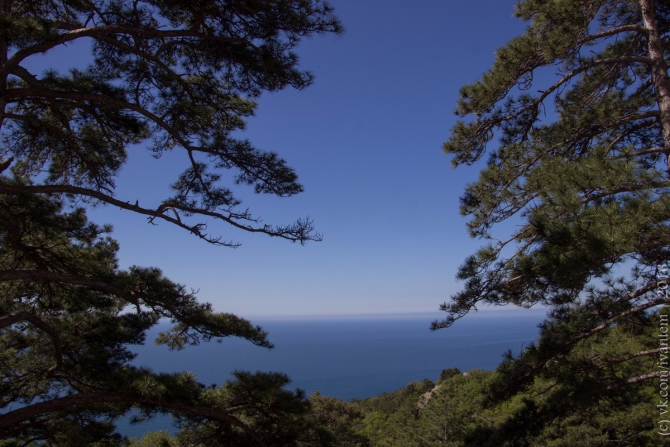Генезис Масяни на Замке (Альпинизм, масяня, крым, май, замок, темерев, копытов, томск, тфа)