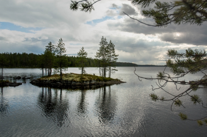 Пешие тропы в Карелии, заповедник Костомукшский (Туризм, карелия, туризм, пеший туризм)