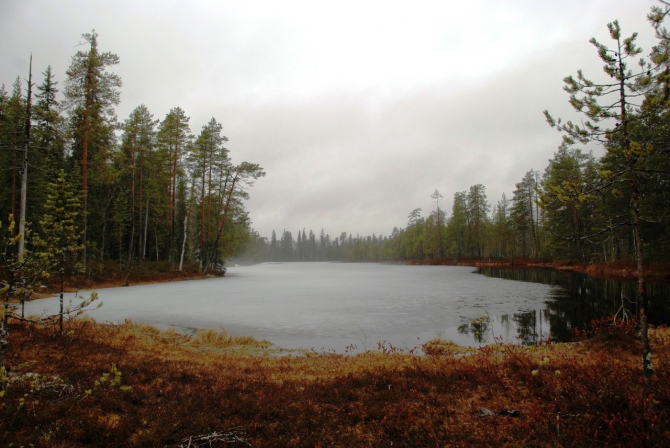Пешие тропы в Карелии, заповедник Костомукшский (Туризм, карелия, туризм, пеший туризм)