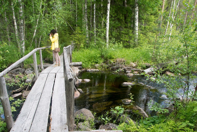 Пешие тропы в Карелии, заповедник Костомукшский (Туризм, карелия, туризм, пеший туризм)