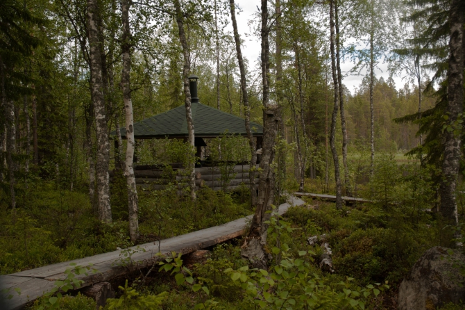 Пешие тропы в Карелии, заповедник Костомукшский (Туризм, карелия, туризм, пеший туризм)