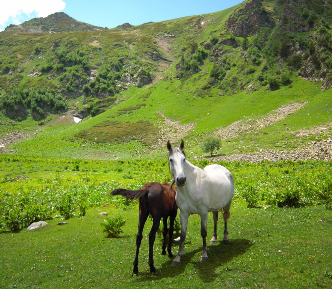 Поход по Архызу. Творческий отчёт. (Горный туризм)