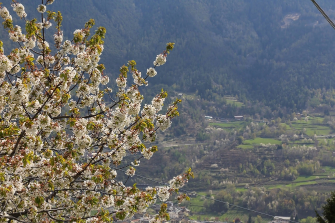 Шесть замков Аосты за один день! (Вело, валле д'аоста, долина аосты, замки, путешествия, вело, маунтинбайк, горы, италия, культпрограмма, архитектура)