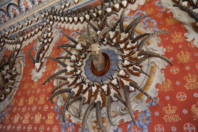 Шесть замков Аосты за один день! (Вело, валле д'аоста, долина аосты, замки, путешествия, вело, маунтинбайк, горы, италия, культпрограмма, архитектура)