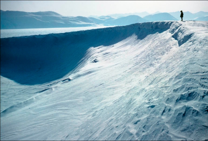 Страховой агент и врач заходят в бар..... и оказываются на Северном полюсе (Путешествия, nytimew, северный полюс, ральф плейстед, арктика, экспедиции)