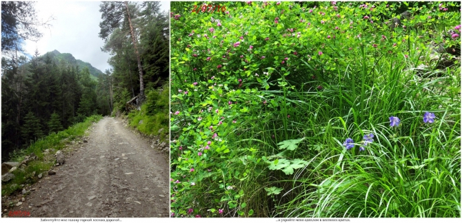 Поляна Махар(КЧР). (Путешествия)