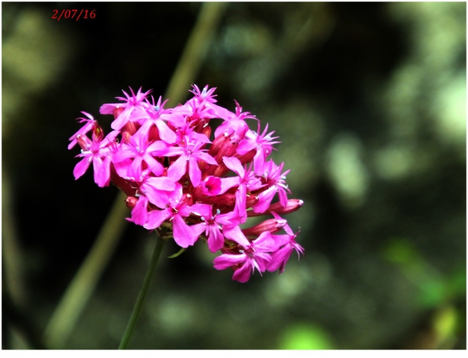 Поляна Махар(КЧР). (Путешествия)