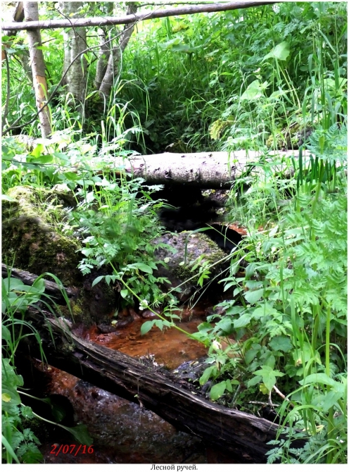 Поляна Махар(КЧР). (Путешествия)