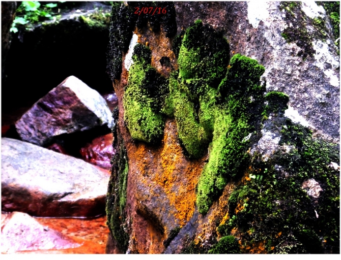 Поляна Махар(КЧР). (Путешествия)