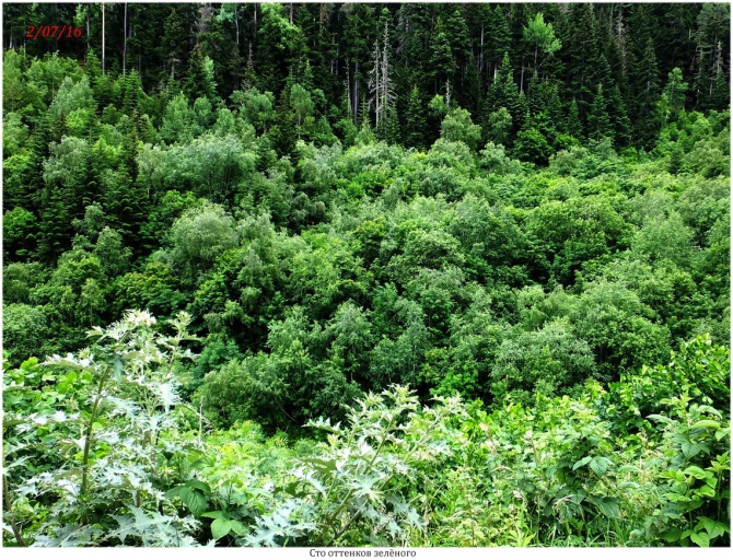 Поляна Махар(КЧР). (Путешествия)