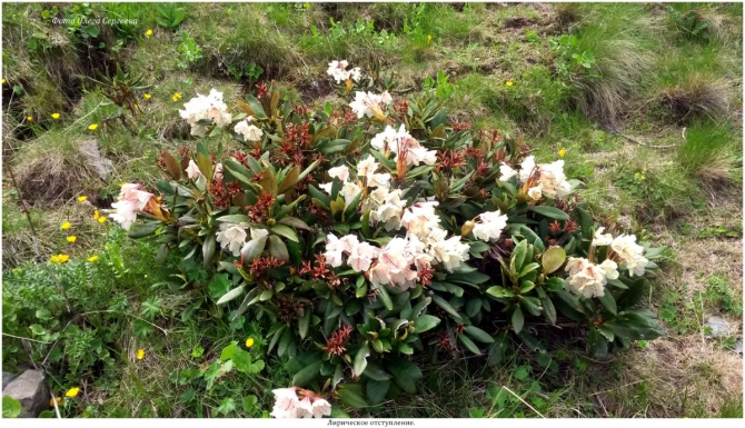 Поляна Махар(КЧР). (Путешествия)