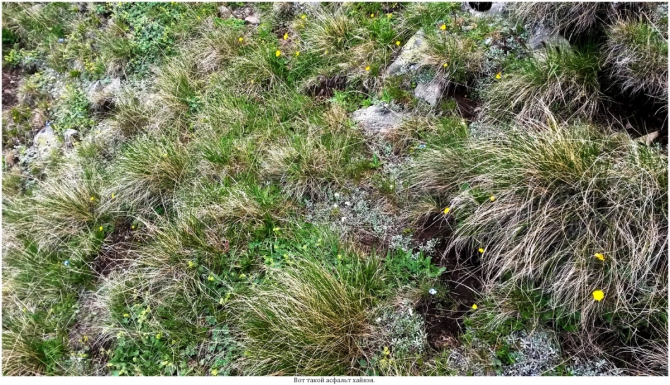 Поляна Махар(КЧР). (Путешествия)