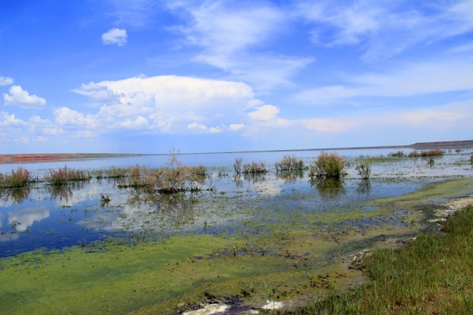 Экспедиция в долину Ушбас: по следам первобытных предков (Путешествия, казахстан, ЮКО, петроглифы, пещера, краеведение, внедорожники, джипкз)