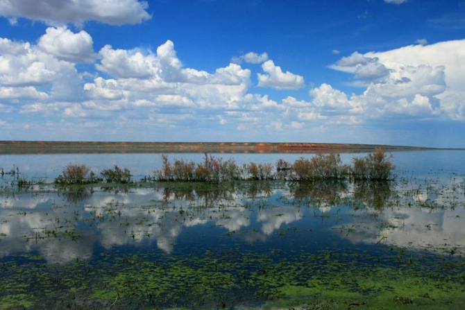 Экспедиция в долину Ушбас: по следам первобытных предков (Путешествия, казахстан, ЮКО, петроглифы, пещера, краеведение, внедорожники, джипкз)