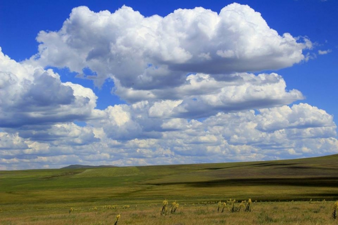 Экспедиция в долину Ушбас: по следам первобытных предков (Путешествия, казахстан, ЮКО, петроглифы, пещера, краеведение, внедорожники, джипкз)