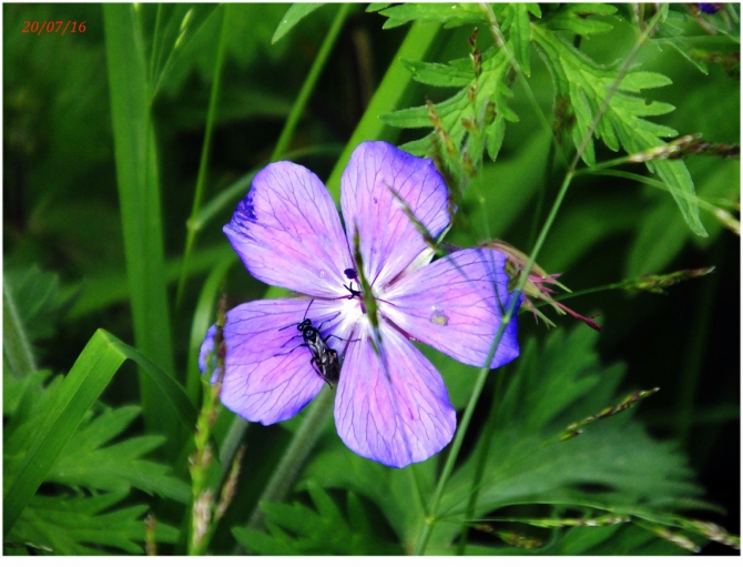 Джантугана маленькая жизнь! (Туризм)