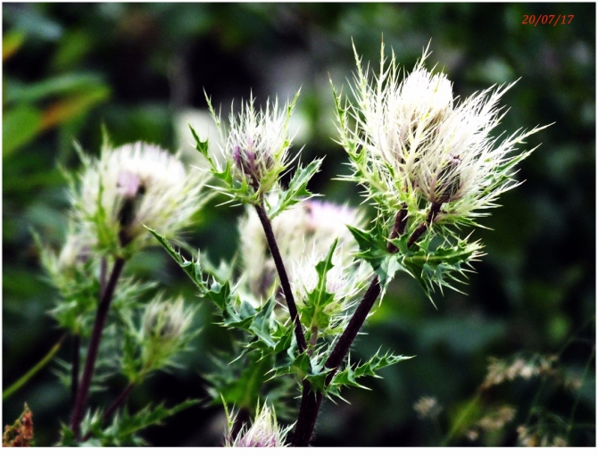 Джантугана маленькая жизнь! (Туризм)