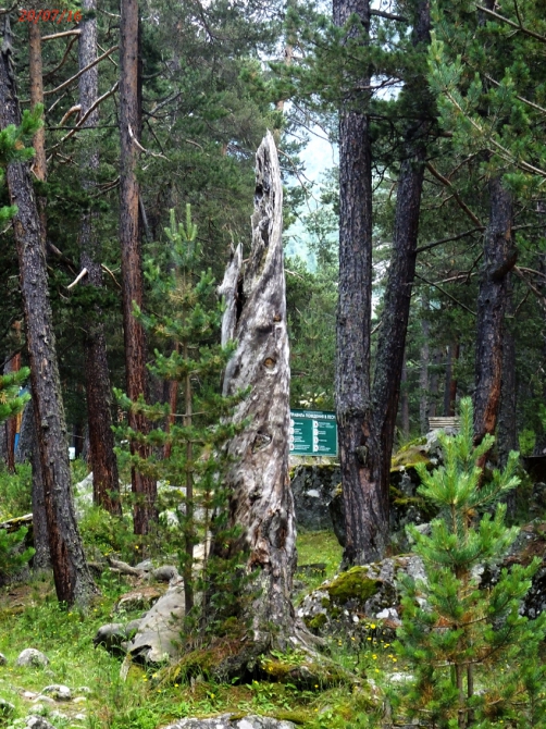 Джантугана маленькая жизнь! (Туризм)
