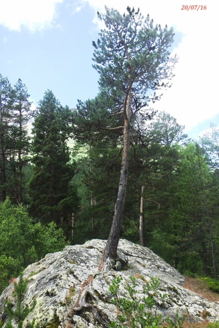 Джантугана маленькая жизнь! (Туризм)