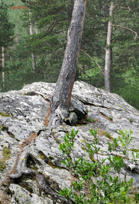 Джантугана маленькая жизнь! (Туризм)