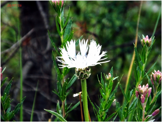 Джантугана маленькая жизнь! (Туризм)