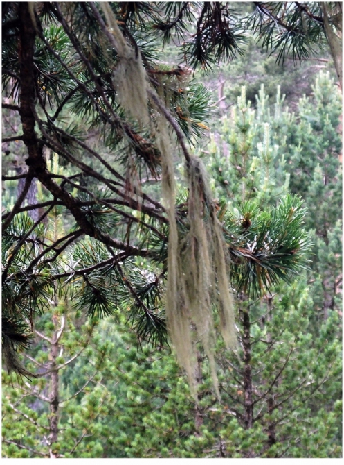 Джантугана маленькая жизнь! (Туризм)