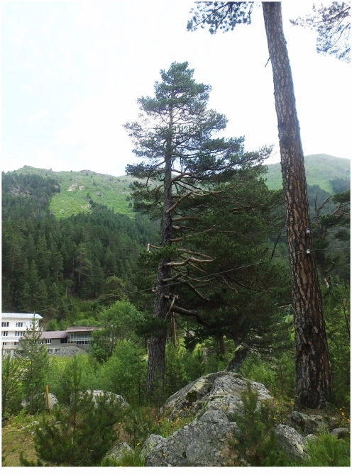 Джантугана маленькая жизнь! (Туризм)