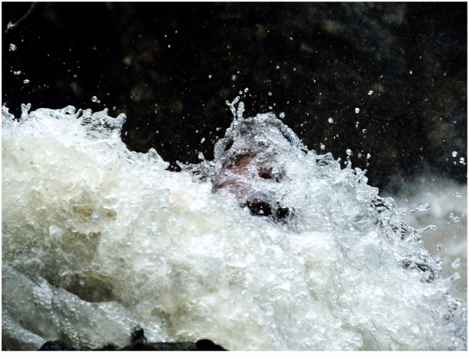 Джантугана маленькая жизнь! (Туризм)