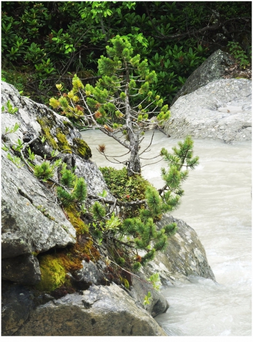 Джантугана маленькая жизнь! (Туризм)