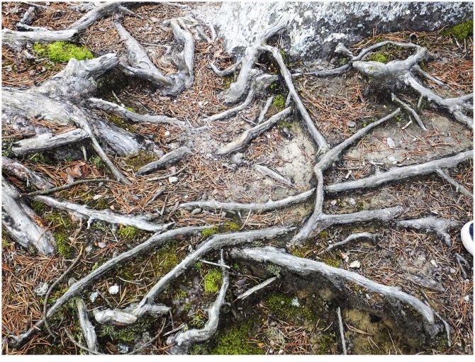 Джантугана маленькая жизнь! (Туризм)