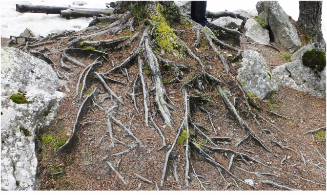 Джантугана маленькая жизнь! (Туризм)