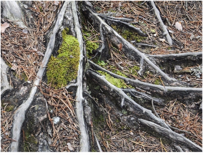 Джантугана маленькая жизнь! (Туризм)