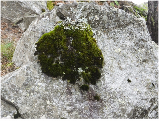 Джантугана маленькая жизнь! (Туризм)