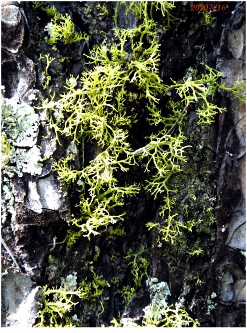 Джантугана маленькая жизнь! (Туризм)