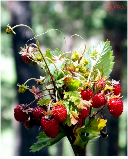 Джантугана маленькая жизнь! (Туризм)