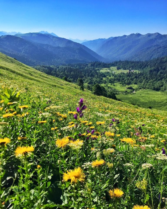 1й Фестиваль горного бега в Адыгее "Фишт Оштен за один день", X Этап Гран При России, Кубок России среди ветеранов. 15-17 июля 2016. (Скайраннинг, Фишт Оштен Адыгея)