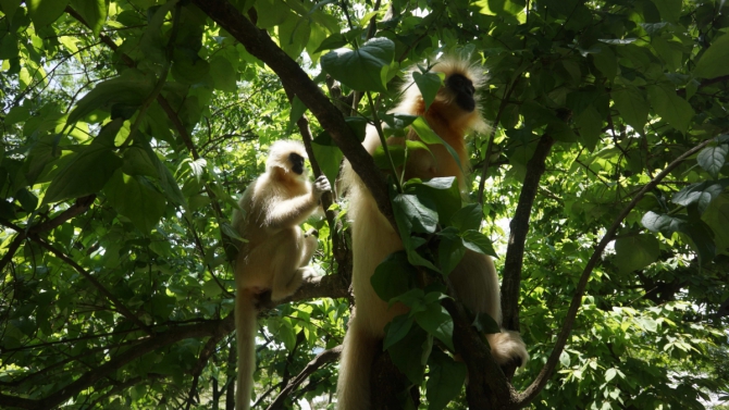 Вся правда о Сток Кангри (Альпинизм, альпинизм)