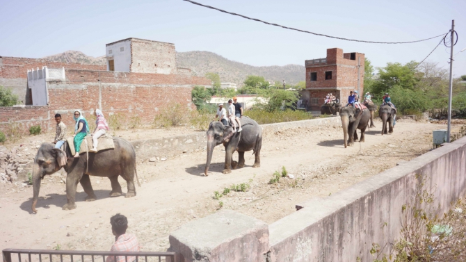 Вся правда о Сток Кангри (Альпинизм, альпинизм)