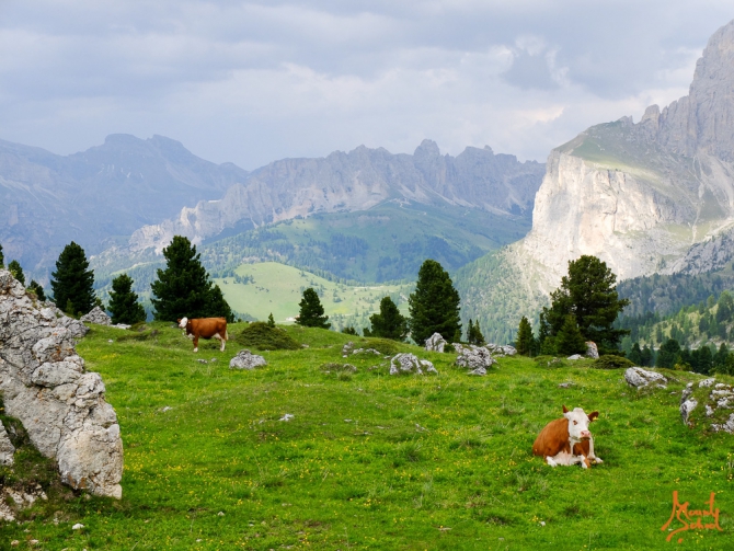 Немного фотографий из Доломитов и отзыв на рюкзак-переноску Osprey (Туризм, доломиты, оспри, веденин)