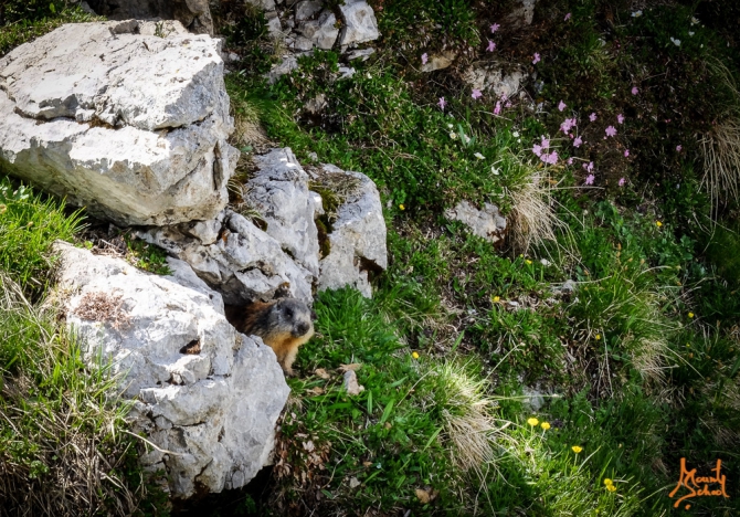 Немного фотографий из Доломитов и отзыв на рюкзак-переноску Osprey (Туризм, доломиты, оспри, веденин)