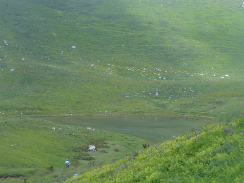 В одиночку на Оштен