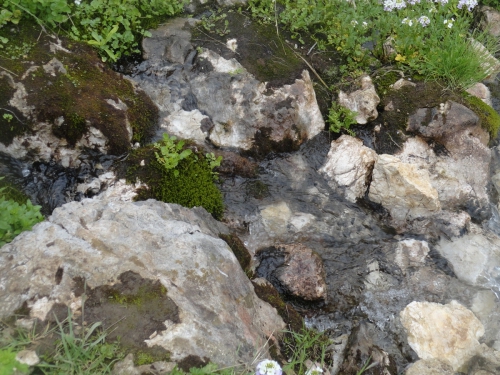 В одиночку на Оштен