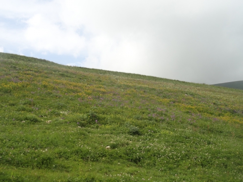 В одиночку на Оштен