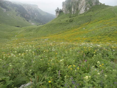 В одиночку на Оштен