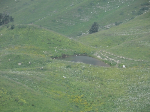 В одиночку на Оштен