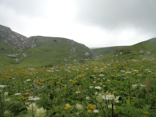 В одиночку на Оштен