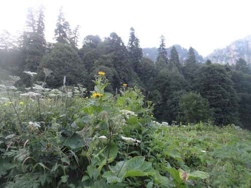 В одиночку на Оштен