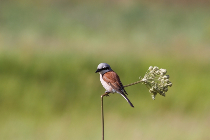 Risk Weekend. Галина Балагурова: «У меня со страхом хорошие отношения. Если мне страшно – значит, мне туда нужно» (Вело, вело, кросс-кантри)